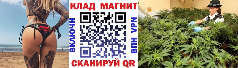 Где продают наркотики Новочебоксарск Гашиш  ссылка на мегу ССЫЛКА  МЕФ  МАРИХУАНА  Псилоцибиновые грибы 