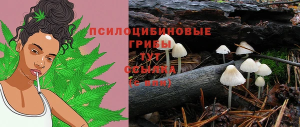 spice Абинск