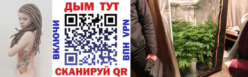 Шишки марихуана планчик  Новочебоксарск 